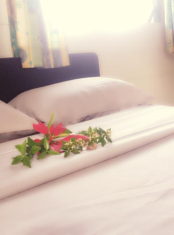 Green Lodge Holiday Homes ヌクアロファ エクステリア 写真